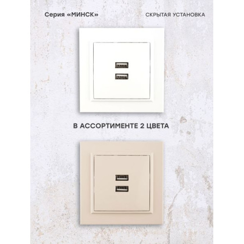 Минск Розетка USB 2-мест. СП 2,1А бел. EKF Минск Розетка USB 2-мест. СП 2,1А бел. EKF