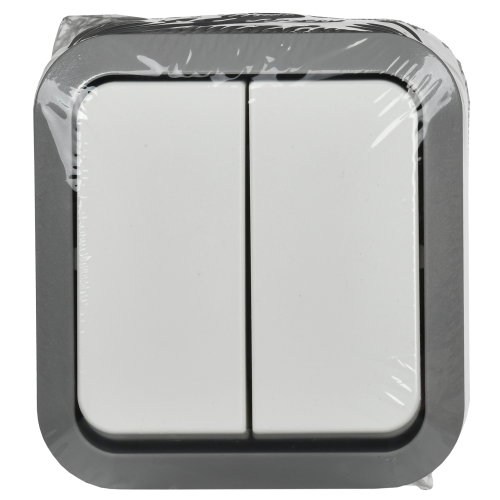 TORS Выключатель двухклавишный 10А IP55 TS205 серо-белый IEK TORS Выключатель двухклавишный 10А IP55 TS205 серо-белый IEK