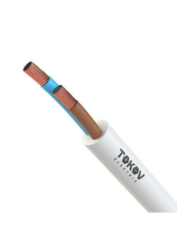 Провод TOKOV ELECTRIC ПВСнг(А)-LS 2х2.5 380В Б (уп.100м) 69166