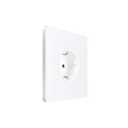 Systeme Infinity, Розетка С/У с ЗК (250В, 16А, защит.шторки), Арктический лед