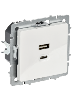 BRITE Розетка USB A+C 45Вт высокоскоростная зарядка РЮ11-2-БрБ белый IEK