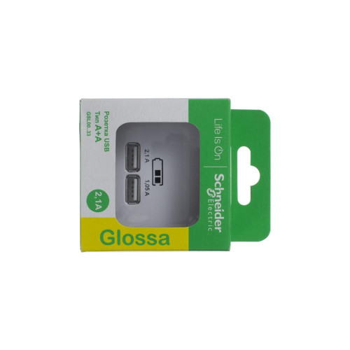 SYSTEME ELECTRIC GSL000133