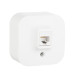 QUTEO Розетка для открытой установки компьютерная RJ45 кат.5E UTP белый QUTEO Розетка для открытой установки компьютерная RJ45 кат.5E UTP белый