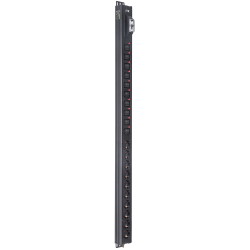 ITK BASE PDU вертикальный PV1101 24U 1 фаза 16А 10 розеток SCHUKO (немецкий стандарт) + 10 розеток C19 без кабеля с входным разъемом C20