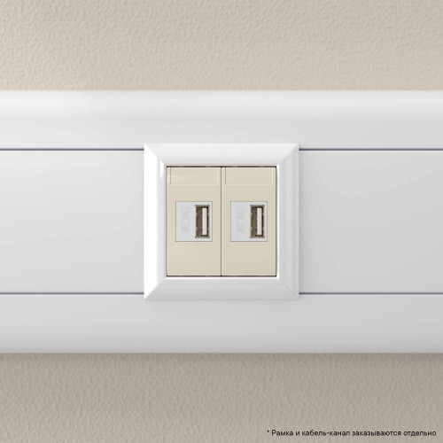 USB зарядное устройство модульное 2.1 А, Avanti, ванильная дымка, 2 модуля USB зарядное устройство модульное 2.1 А, Avanti, ванильная дымка, 2 модуля