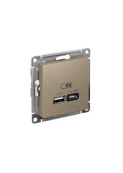 ATLASDESIGN USB РОЗЕТКА A + тип-C 45Вт высокоскор.заряд. QC, PD, механизм, ШАМПАНЬ