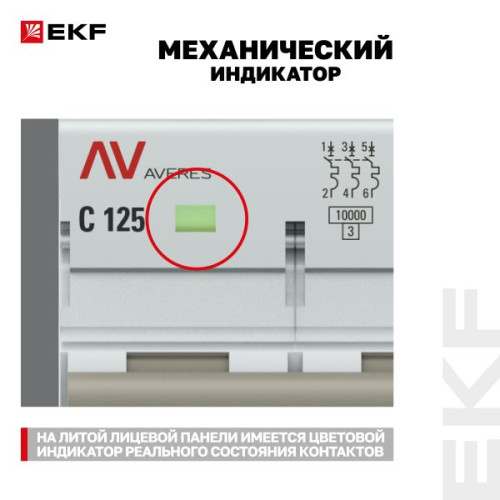 AV-125 3P 100A (C) 10kA EKF AVERES