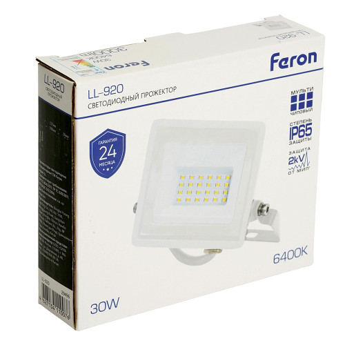 Светодиодный прожектор Feron LL-920 IP65 30W 6400K Светодиодный прожектор Feron LL-920 IP65 30W 6400K