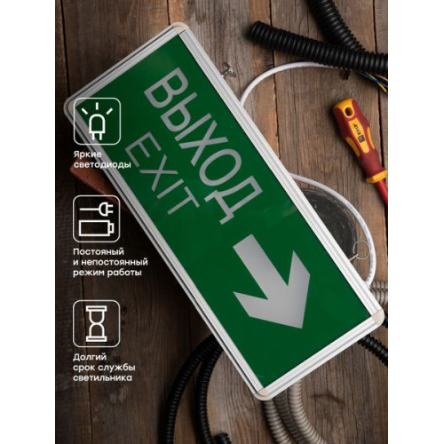 Светильник аварийного освещения EXIT-202 двухстор. LED EKF Basic