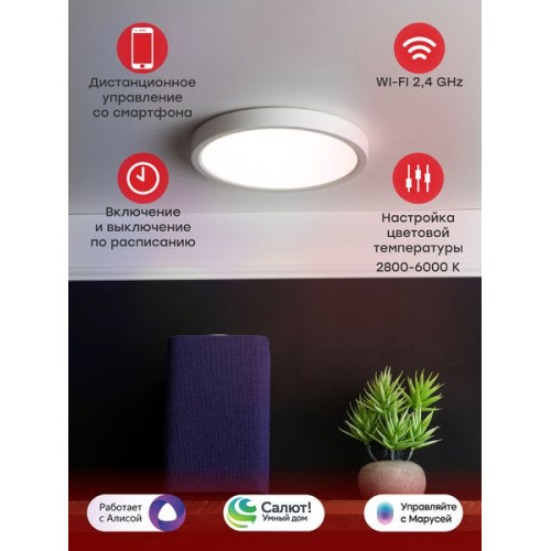 Умный потолочный светильник 230 мм 18 W EKF Connect