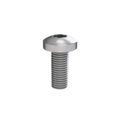 Винт М5х12 под шлиц Torx, 100 шт. РАМ Пауэр (RAM power)
