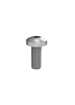 Винт М5х12 под шлиц Torx, 100 шт. РАМ Пауэр (RAM power)