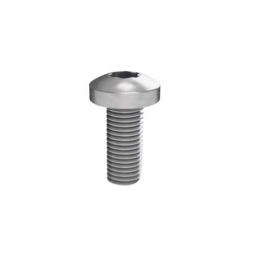 Винт М5х12 под шлиц Torx, 100 шт. РАМ Пауэр (RAM power)