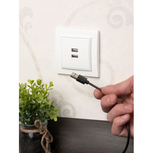 Минск Розетка USB 2-мест. СП 2,1А бел. EKF Минск Розетка USB 2-мест. СП 2,1А бел. EKF