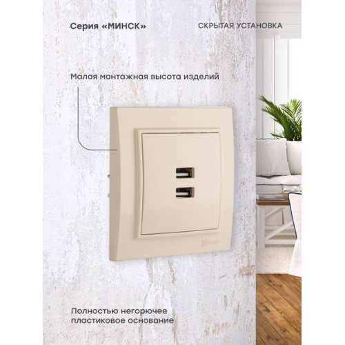 Минск Розетка USB 2-мест. СП 2,1А беж. EKF