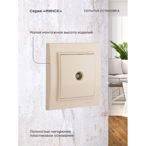 Минск Розетка TV 1-мест. СП бежевый 75Ом 5-862МГц EKF Минск Розетка TV 1-мест. СП бежевый 75Ом 5-862МГц EKF