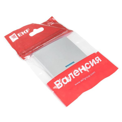Валенсия лиц. панель выключателя 1-кл. с индикатором 10А сталь EKF Валенсия лиц. панель выключателя 1-кл. с индикатором 10А сталь EKF