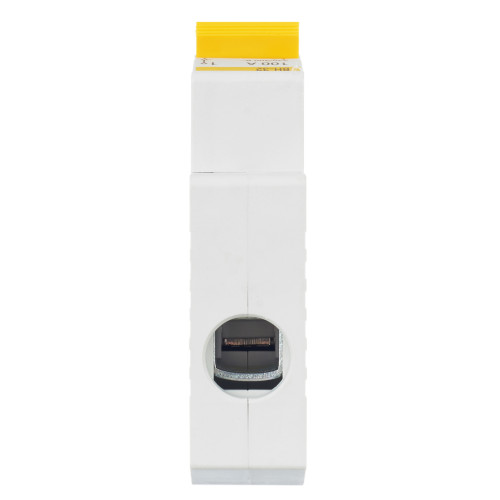 IEK MNV10-1-100