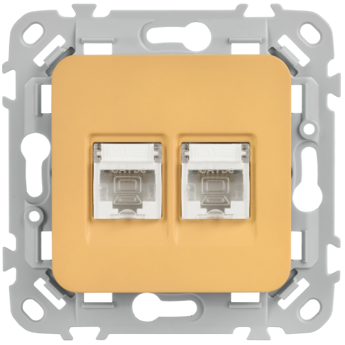 FLITE Розетка 2-местная компьютерная RJ45 категория 5Е UTP РК5е-2-0-ФлШм шамуа IEK