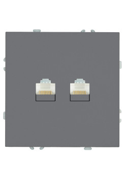 Розетка компьютерная 2-местная RJ-45 (механизм), STEKKER, серия Эмили, RST00-5111-10, платиново-серый, soft touch