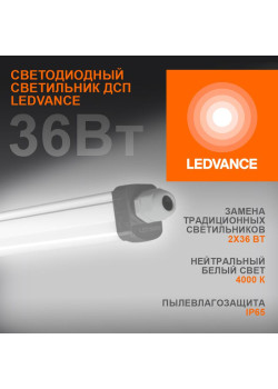Светильник светодиодный Eco Class Damp Proof Slim 36Вт 4000К IP65 3700лм 1.2м ДСП промышленный накладной/подвесной сер. (аналог ЛСП) LEDVANCE 4058075169128