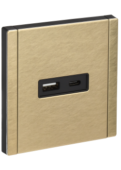 FORTE&PIANO Розетка USB A+C 3,1А FP650M металл шампань IEK