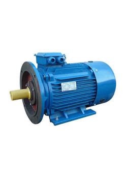 Электродвигатель 5АИ 180 S4 22/1500 IM2001 Элком 01.01.213696