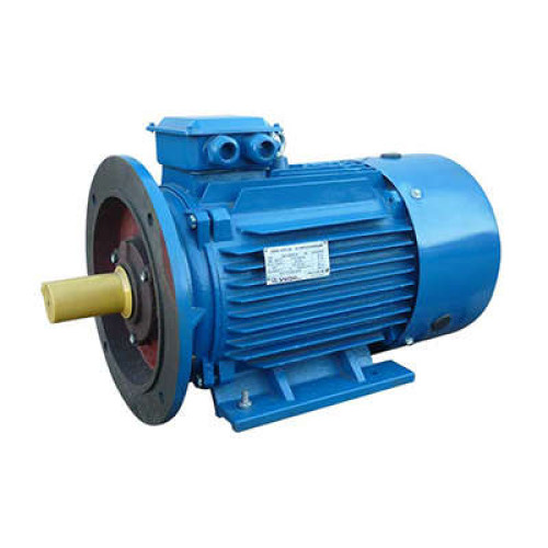 Электродвигатель 5АИ 180 S4 22/1500 IM2001 Элком 01.01.213696