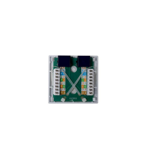 Розетка компьютерная 8P8C (RJ-45) UTP Cat.5e 2 порта TOKOV Eletrcic TKE-SMB-8P8C-2P-UTP Розетка компьютерная 8P8C (RJ-45) UTP Cat.5e 2 порта TOKOV Eletrcic TKE-SMB-8P8C-2P-UTP