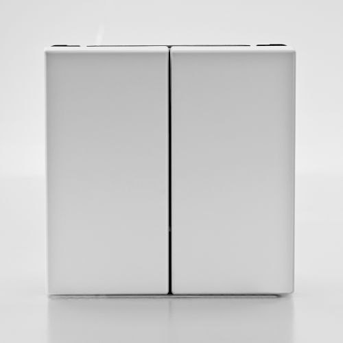 ARTGALLERY 2-клавишный ВЫКЛЮЧАТЕЛЬ КНОПОЧНЫЙ, 10АХ, механизм, быстрозажим. клем., ЛОТОС