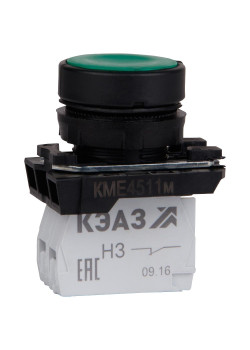 КЭАЗ 248247