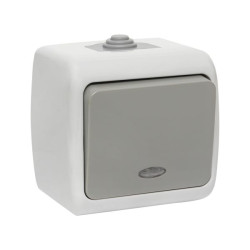 Мурманск Выключатель 1-кл. с инд. 10А IP54 сер.EKF