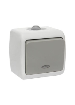 Мурманск Выключатель 1-кл. с инд. 10А IP54 сер.EKF