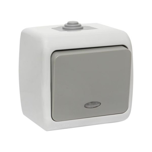 Мурманск Выключатель 1-кл. с инд. 10А IP54 сер.EKF