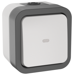 TORS Переключатель одноклавишный с индикацией 10А IP55 TS202 серо-белый IEK