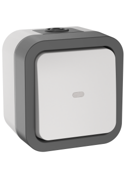 TORS Переключатель одноклавишный с индикацией 10А IP55 TS202 серо-белый IEK