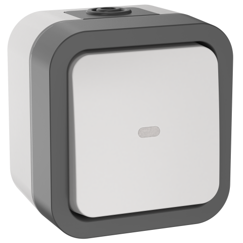 TORS Переключатель одноклавишный с индикацией 10А IP55 TS202 серо-белый IEK