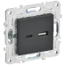 SKANDY Розетка USB A+C 18Вт SK-R13G графит IEK SKANDY Розетка USB A+C 18Вт SK-R13G графит IEK