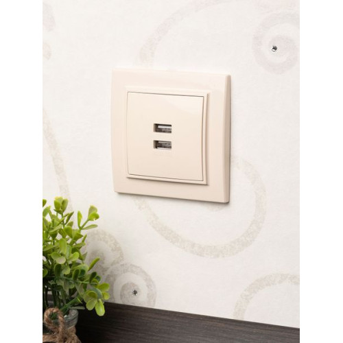 Минск Розетка USB 2-мест. СП 2,1А беж. EKF