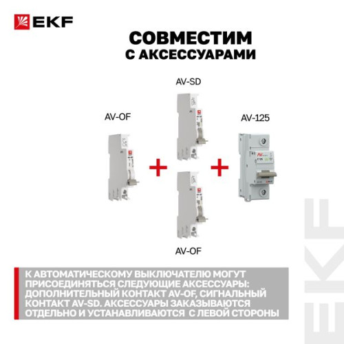 AV-125 2P 100A (C) 10kA EKF AVERES