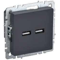 BRITE Розетка USB A+A 5В 3,1А РЮ10-1-БрГ графит IEK