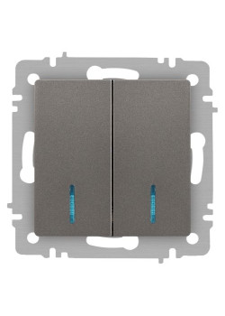 Выключатель Accent 6-105-09 двойн. с подсветкой 10А-250В IP20 СУ AL/CU титан Intro Б0063525