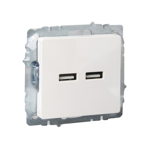 BRITE Розетка USB A+A 5В 3,1А РЮ10-1-БрЖ жемчуг IEK BRITE Розетка USB A+A 5В 3,1А РЮ10-1-БрЖ жемчуг IEK