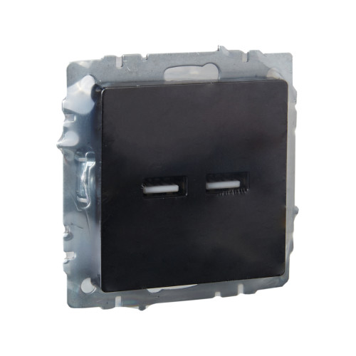 BRITE Розетка USB A+A 5В 3,1А РЮ10-1-БрЧ черный IEK BRITE Розетка USB A+A 5В 3,1А РЮ10-1-БрЧ черный IEK