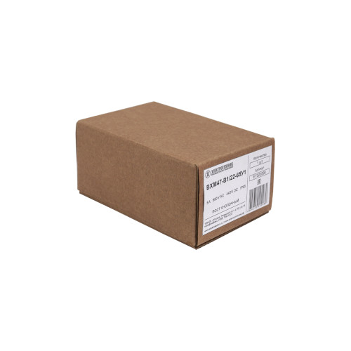 BXM47-B1/22-65У1 (1 серебристая цилиндрическая кнопка (1C1NO1NC)), пост управления (ЭТ) BXM47-B1/22-65У1 (1 серебристая цилиндрическая кнопка (1C1NO1NC)), пост управления (ЭТ)