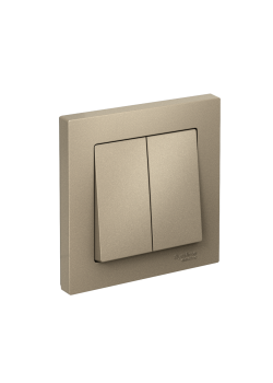 ATLASDESIGN 2-клавишный ВЫКЛЮЧАТЕЛЬ, сх.5, 10АХ, в сборе, ШАМПАНЬ