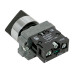 Переключатель BD21 2P короткая ручка NO IP65 EKF