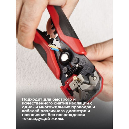 Стриппер WS-04 EKF Master