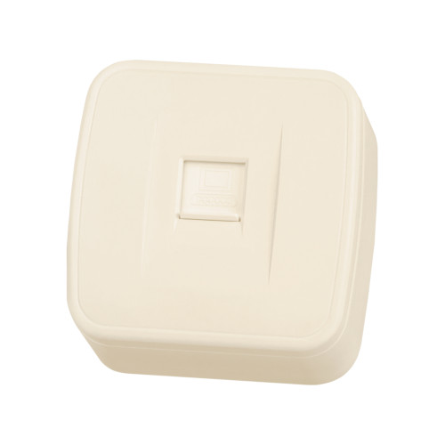 Розетка компьютерная (RJ-45) открытой установки IP20, сл. кость Розетка компьютерная (RJ-45) открытой установки IP20, сл. кость