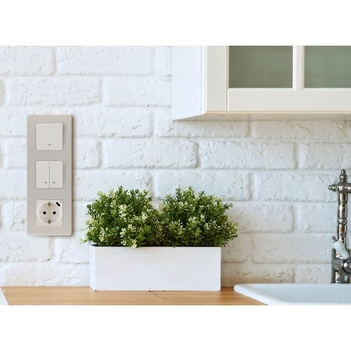INSPIRIA Розетка 1-местная с заземлением с защитными шторками 16А с USB C 5В безвинтовое крепление слоновая кость